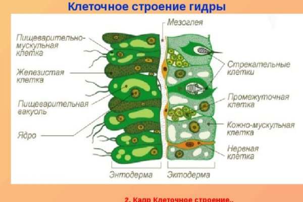 Кракен невозможно зарегистрировать пользователя