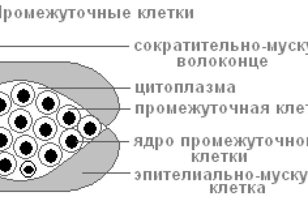 Как попасть на кракен с айфона